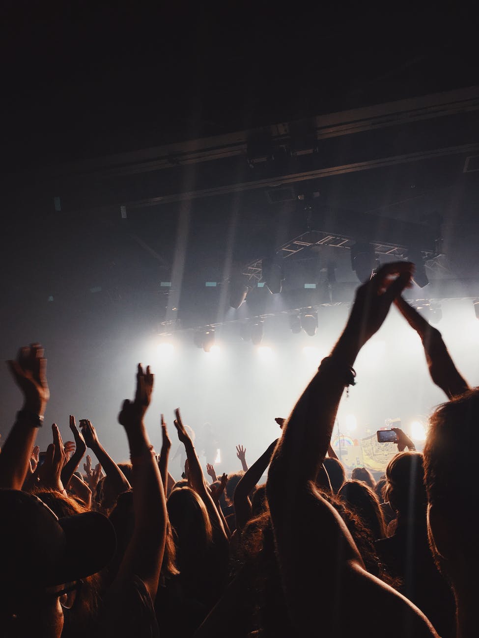 people in a concert